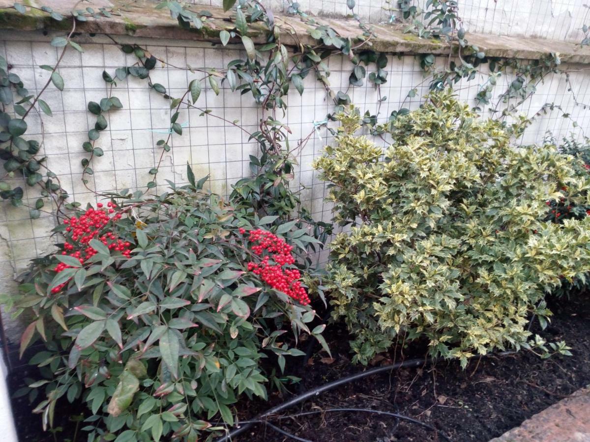 פארמה B&B Palazzo Bianchi מראה חיצוני תמונה